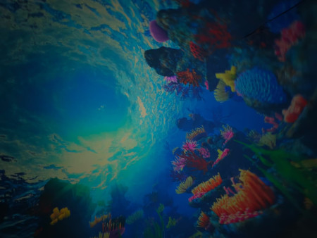 Vybraly jsme si krásný příběh